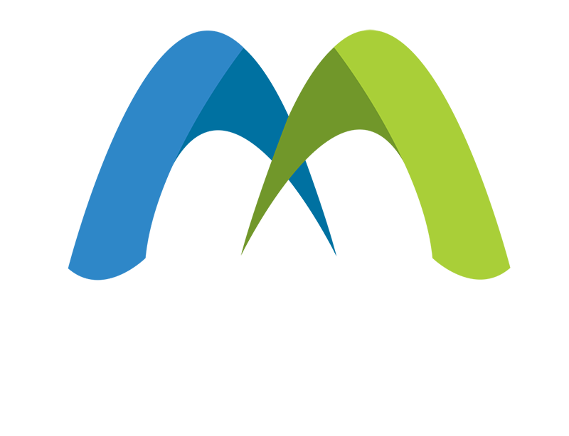 Mentor Performance