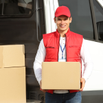 Van Sales Software
