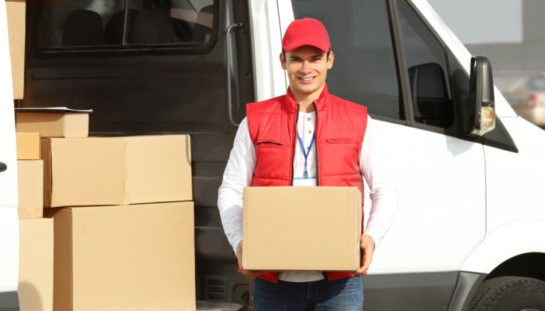 Van Sales Software